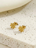 Crazy Women Earrings - Style 2715064