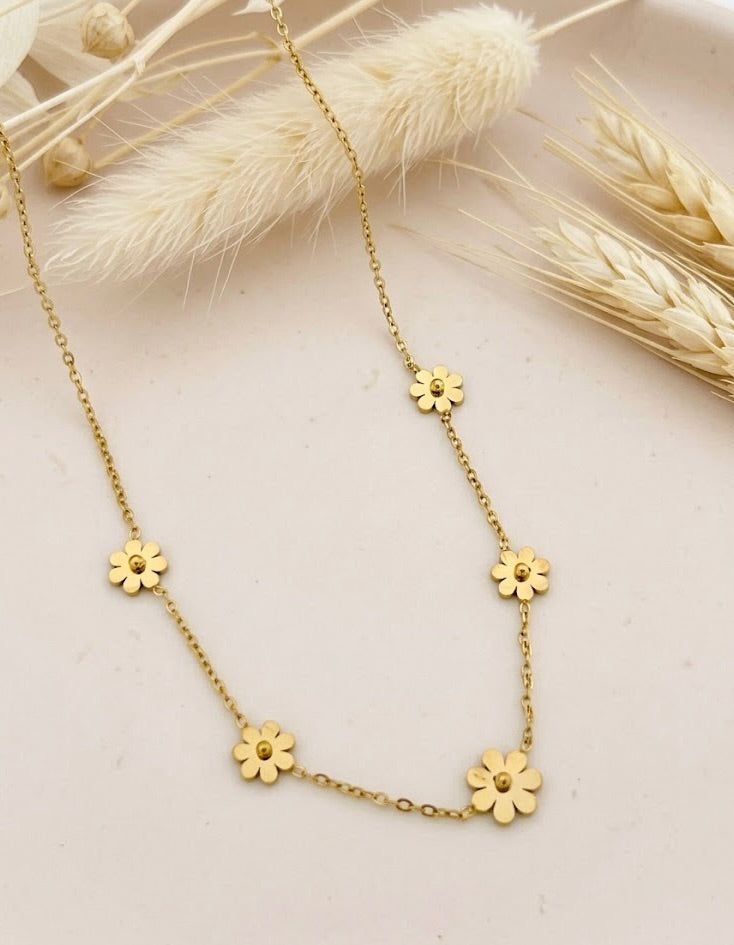 Crazy Women Necklace - Style 7235081